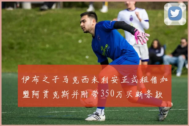 伊布之子马克西米利安正式租借加盟阿贾克斯并附带350万买断条款